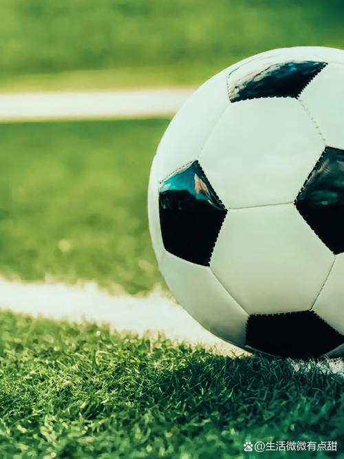 14场最新预测用户使用场景