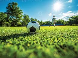 14场最新预测品牌标识